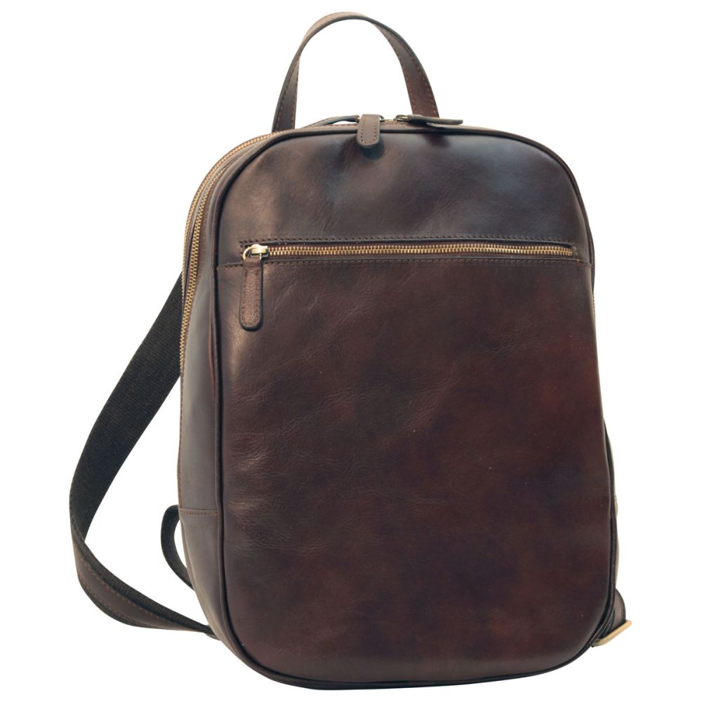 dark brown backpack